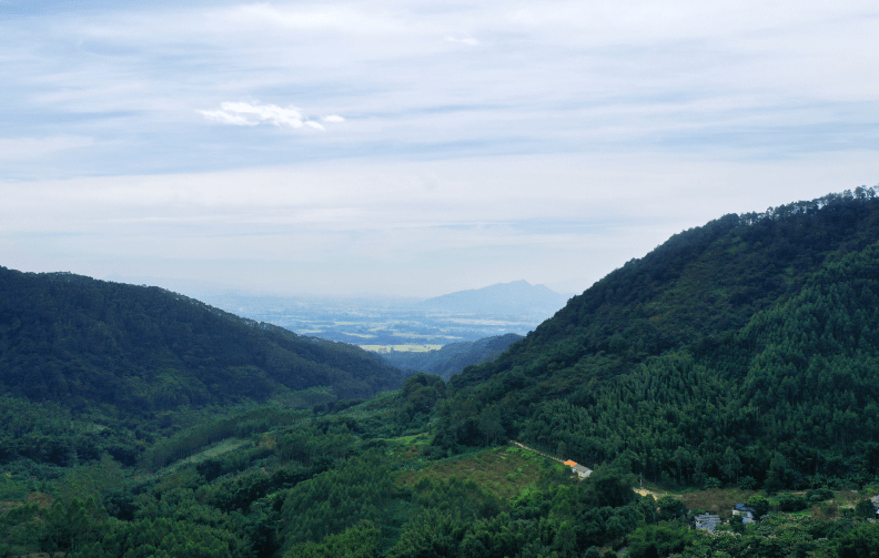 走进天露源水厂，探访山林之中的天然清洌 